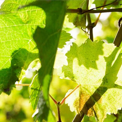 Profile Picture of Tobias Nagel (@tobinagel90) on Twitter