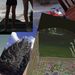 Profile Picture of Margaret Rylee (@margaretl1170) on Pinterest