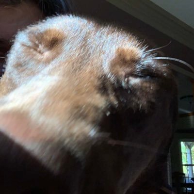 Profile Picture of John Harton (@JohnHar88695978) on Twitter