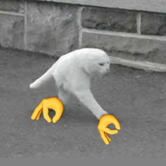 Profile Picture of Luis Sanchez (@luissanchez142) on Poshmark