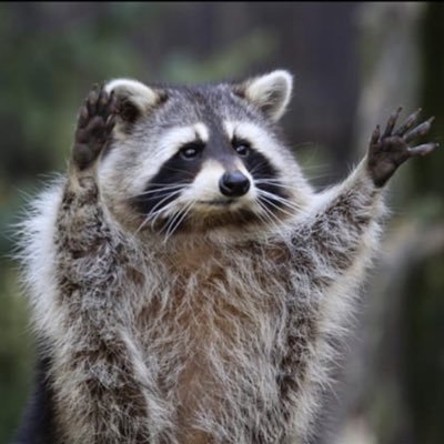 Profile Picture of Chris Hsiao (@ChrisHsiao4) on Twitter