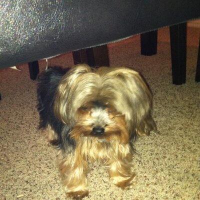 Profile Picture of Michael Molthan Jr. (@MolthanJr) on Twitter