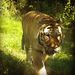 Profile Picture of Alex Encarnacion (@hernanjay24) on Pinterest