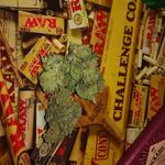 Profile Picture of brett wilkes (@brettwilkesgetshigh) on Instagram