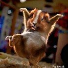 Profile Picture of Randi Bay Kristensen (@kristensenrandi) on Instagram