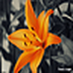 Profile Picture of Jenn's Phoenix Images (@jenn's phoenix images) on Flickr