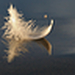 Profile Picture of Chase Patterson (@chase patterson) on Flickr