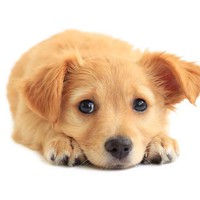 Profile Picture of Miriam Knight (@miriam-knight-14) on Quora