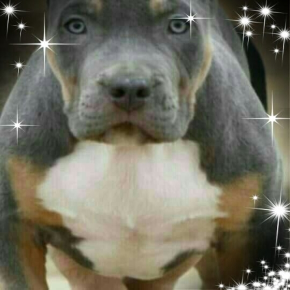 Profile Picture of Raymond Davis (@larryd409) on Poshmark