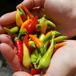 Profile Picture of Hannah & Alexander Obers (@oberge_photography) on Instagram