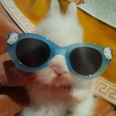 Profile Picture of Jose Luis Hueso (@joselu_alv) on Twitter