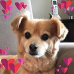 Profile Picture of Tanya Parsons (@tanya_parsons5) on Instagram