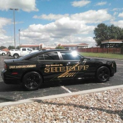 Profile Picture of Evan Hecht (@buses100) on Twitter