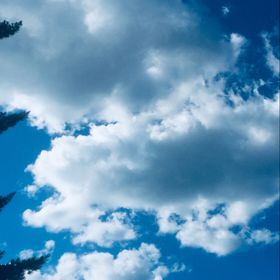 Profile Picture of Brianna Stankiewicz (@briannastankiewicz) on Pinterest