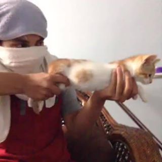 Profile Picture of Joey PussehEatahDestroyer O'Malley (Totally not a pervert) (@Joey-PussehEatah-Destroyer-OMalley) on Facebook