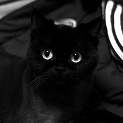 Profile Picture of Yewon Kim (@yewon905) on Twitter