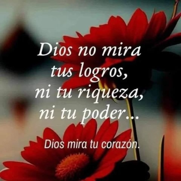 Profile Picture of Josefa Garcia (@josefagarca1968) on Poshmark