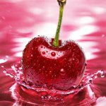 Profile Picture of sherri_scherer (@sherri_scherer) on Instagram