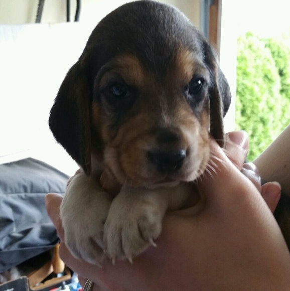 Profile Picture of Michelle Risher (@michelle786) on Poshmark