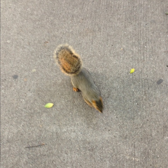 Profile Picture of Annabelle Jenkins (@february89) on Poshmark