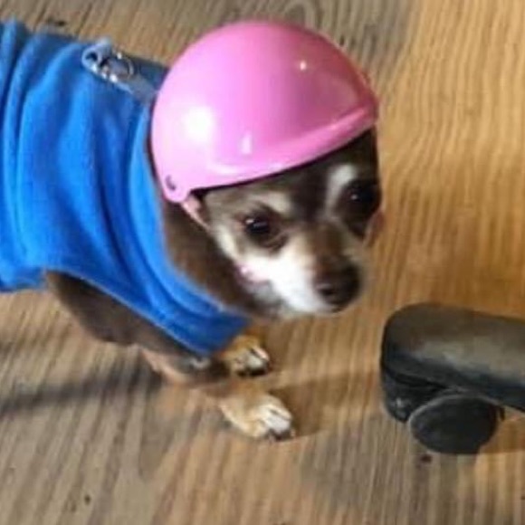 Profile Picture of Quinn Wilson (@qwilson679) on Poshmark