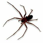 Profile Picture of Sam Zarcone (@sam_zarcone) on Instagram