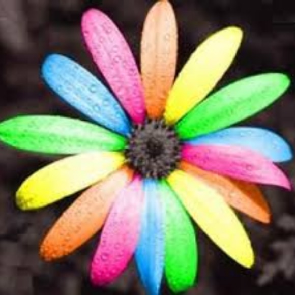 Profile Picture of Cierra Freeman (@urtexassmiles) on Poshmark