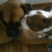 Profile Picture of Geoffrey Rice (@grice02211983) on Pinterest