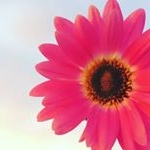 Profile Picture of Sükût___u___lisan (@sukut___u___lisan) on Instagram