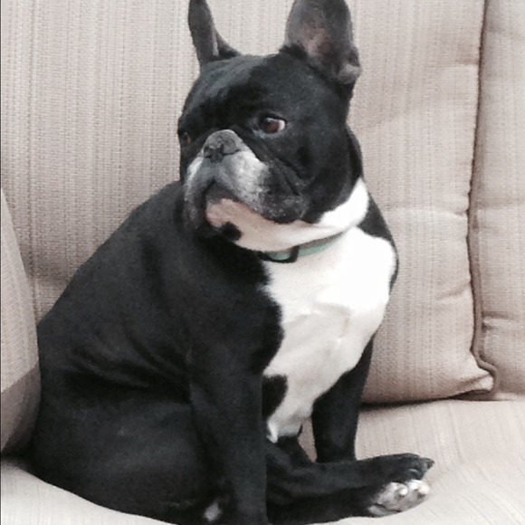 Profile Picture of Sarice Cifuno (@ceri) on Poshmark