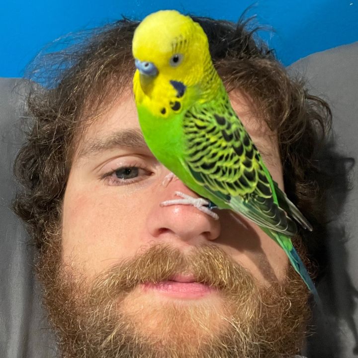Profile Picture of Kyle Fister (@silvercord) on Tiktok