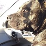 Profile Picture of Cheyenne Clay (@chey_lynn_clay) on Instagram