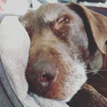 Profile Picture of Marc Lavallée (@mistairemarc) on Instagram