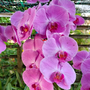 Profile Picture of Ngan Do (@ngando2857) on Youtube