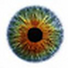 Profile Picture of David S (@translucent_eye) on Flickr
