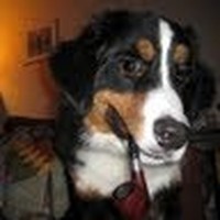 Profile Picture of Corey Bess (@corey-bess-5) on Quora