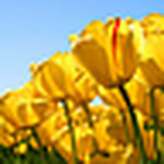 Profile Picture of Tiffany  Yuch (@tiffany1221980) on Flickr