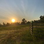 Profile Picture of Hunter Vaughn (@huntervaughn624) on Instagram