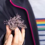 Profile Picture of Owen Bryant (@owen99) on Instagram