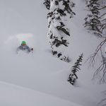 Profile Picture of Lance Larivee (@lancelarivee) on Instagram