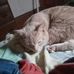 Profile Picture of Jacob Finch (@jacob.finch.1422) on Facebook