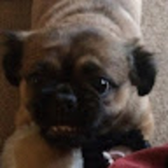 Profile Picture of Joseph Chauvette (@smeeble14) on Poshmark