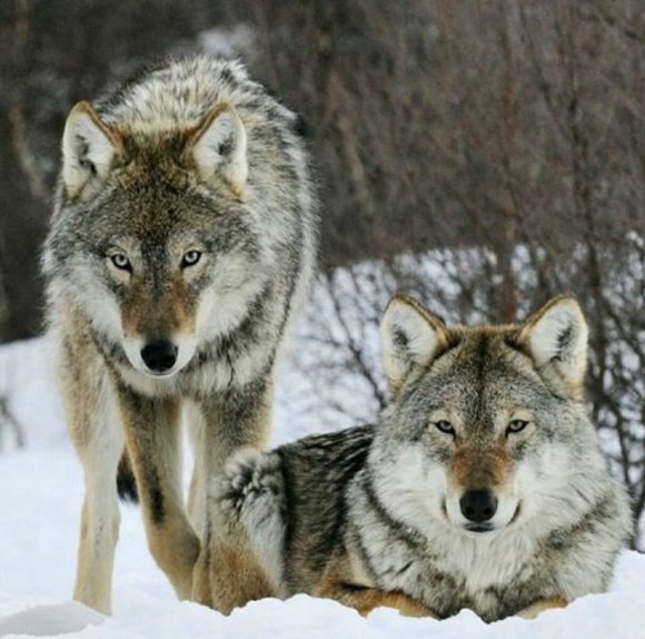 Profile Picture of Richard Prins (@richardprins38) on Poshmark