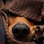 James Lunstead - Instagram Profile Picture of James Lunstead (@jalunstead) on Instagram