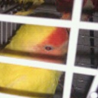 Profile Picture of Yasin Ihsan Al Musavi (@yasin-ihsan-al-musavi) on Quora