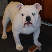 Profile Picture of Matthew Parnell (@matthewparnell4474) on Youtube