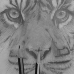 Profile Picture of Akil Joseph-Daniel (@Akil5647) on Twitter