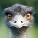 Profile Picture of Matthew McCarrell (@matthewmccarrell) on Pinterest