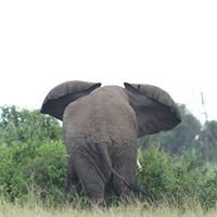 Cem Orkun Kıraç - Quora Profile Picture of Cem Orkun Kıraç (@cem-orkun-kıraç) on Quora