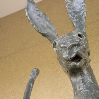 Profile Picture of Jesse Colaizzi (@JesseColaizzi) on Twitter